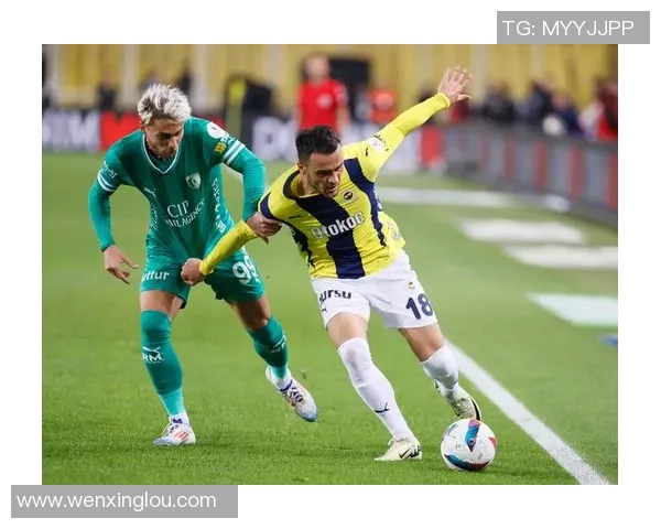 沃尔夫斯堡与费内巴切对决前瞻分析及比赛结果预测